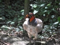 DSC_0601.JPG