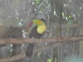 DSC_0728.JPG