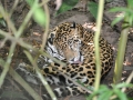 DSC_0742.JPG