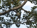 DSC_0006.JPG