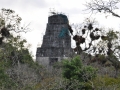 DSC_0057.JPG