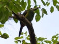 DSC_0063.JPG