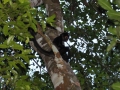 DSC_0146.JPG