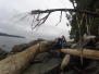 Vancouver Island WCT _  July 2015